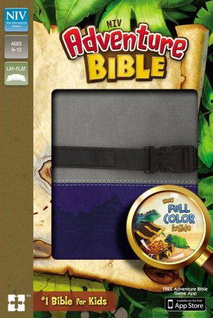 NIV-Adventure Bible-Gray/Blue