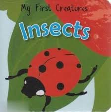 INSECTS