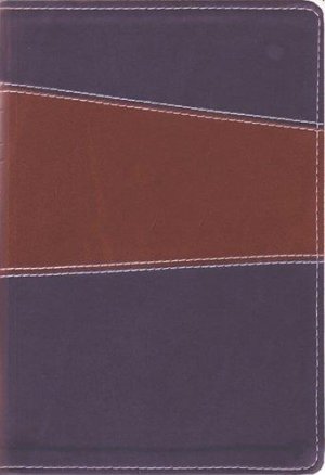 THE MESSAGE: REMIX 2.0 BROWN/NAVY
