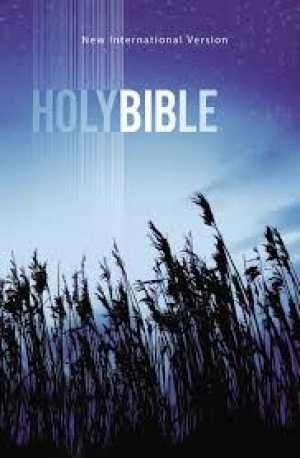NIV Holy Bible-Outreach