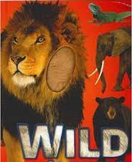 WILD ANIMALS