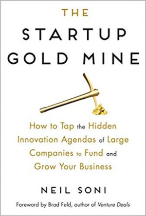THE STARTUP GOLD MINE
