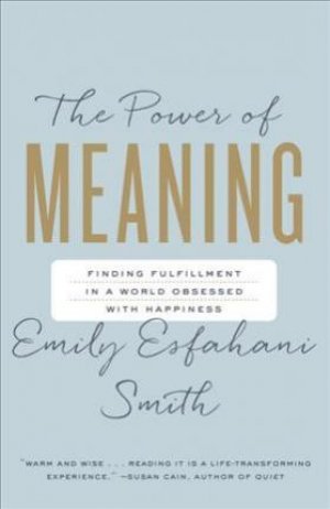 THE POWER OF MEANING