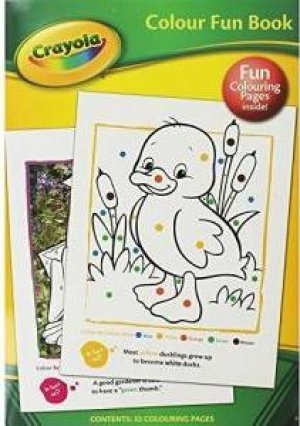 COLOUR FUN BOOK