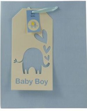 BABY BOY GIFT BAG