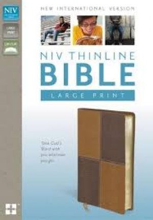 NIV Thinline Bible, Large Print CHOCO