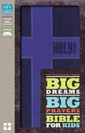 NIV Big Dreams, Big Prayers Bible for Kids