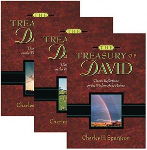 THE TREASURY OF DAVID 3 VOL.