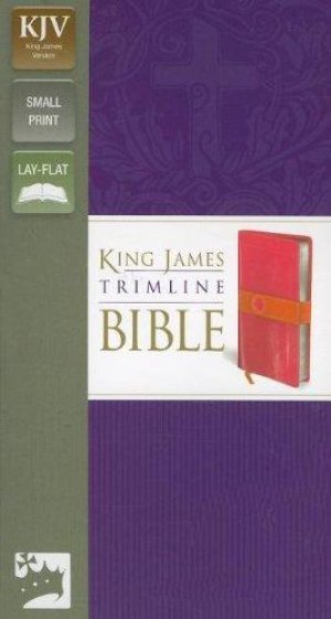 NIV THINLINE BIBLE