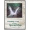 WELLSPRING OF BLESSING (12 SET OF CARDS)