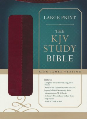 KJV Study Bible, Large Print, Leather, imitation