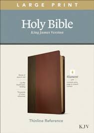 KJV LARGE PRINT THINELINE REFERENCE