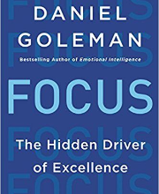Focus: The Hidden Driver of Excellence.