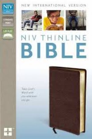 NIV-THINLINE  BIBLE-BURG BOND