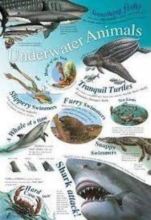 WALL PAPER: UNDERWATER ANIMALS