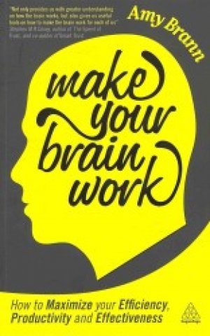 Make Your Brain Work: How to Maximize Your Efficiency, Productivity and Effectiveness
