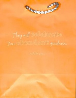 Medium Value Gift Bag - Orange