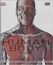 3D HUMAN BODY