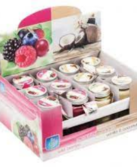 SCT-WILD BERRIES CANDLE-MINI
