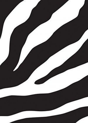 The Message Zebra REMIX