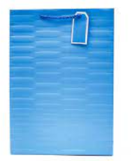 GIFTBAG-EMBOSSED BRIGHT