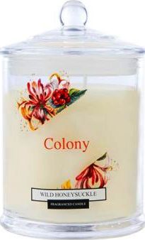 COLONY-WILD HONEY SUCKLE
