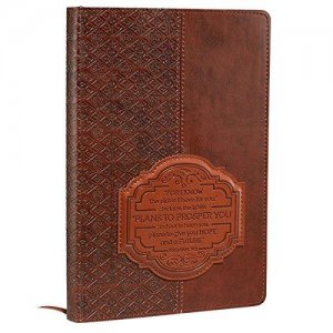 JOURNAL-FOR I KNOW THE PLANS-BROWN