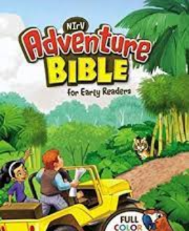 ADVENTURE BIBLE FOR EARLY READERS