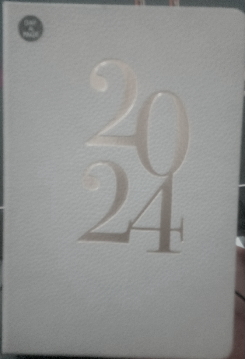 2024 DAY A PAGE