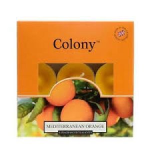 MEDITERRANEAN ORANGE  9 FRAGRASNCED  CANDLE - up to 6hrs