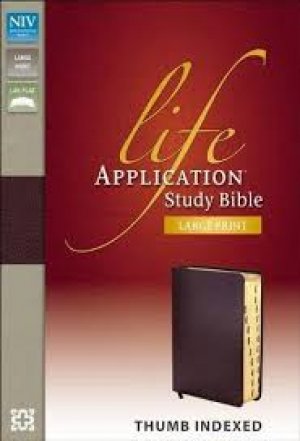 NIV Life Application Study Bible, Large Print