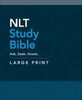 NLT STUDY BIBLE