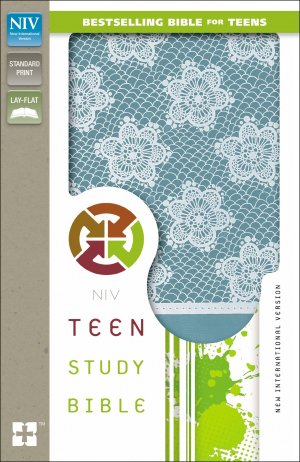 NIV-TEEN STUDY BIBLE