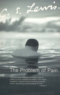 THE PROBLEM OF PAIN
