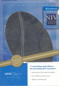 THE NIV STUDY BIBLE