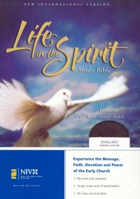 NIV Life in the Spirit Study Bible