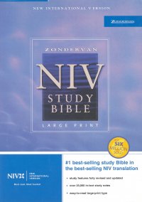 THE NIV STUDY BIBLE BURGUNDY