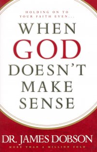 WHEN GOD DOESN'T MAKE SENSE