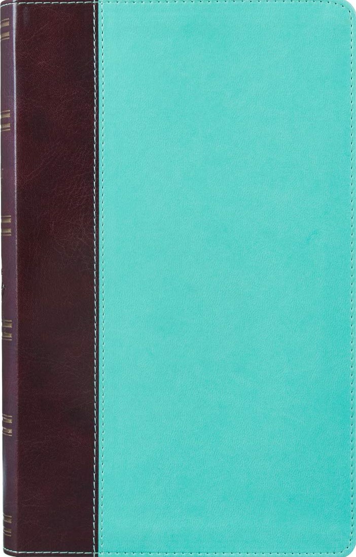 THE HOLY BIBLE (KJV) GIANT PRINT STANDARD BIBLE BIBLE