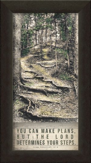 FRAME-THE LORD DETERMINES YOUR STEPS