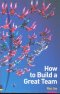 HOW TO BUILD A GREAT TEAM, PAPER COVER
