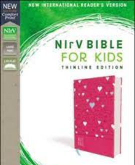 NIRV-BIBLE FOR KIDS THINLINE EDITION
