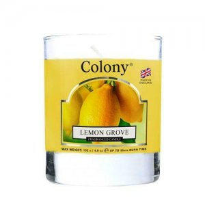 LEMON GROVE FRAGRANCED CANDLE - up to 35hrs