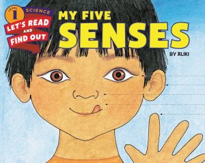 MY FIVE SENSES