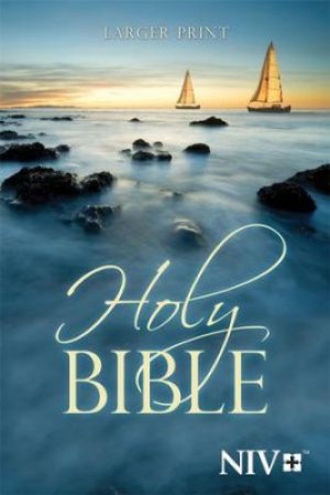 NIV-HOLY BIBLE-LARGER-BLUEBOAT