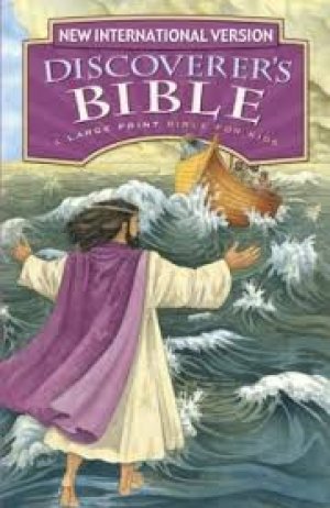 NIV-DISCOVERER'S BIBLE