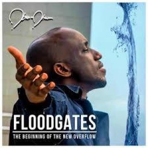 FLOODGATES (CD)