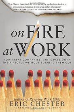 On Fire at Work: How Great Companies Ignite Passion in Their People Without Burning Them Out
