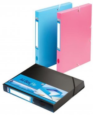 A4 BOX FILE BLUE (EXGO_1)