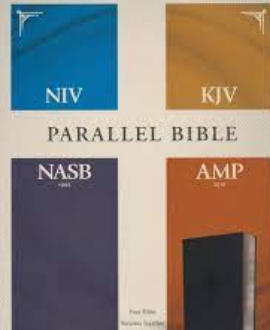 NIV PARALLEL BIBLE
